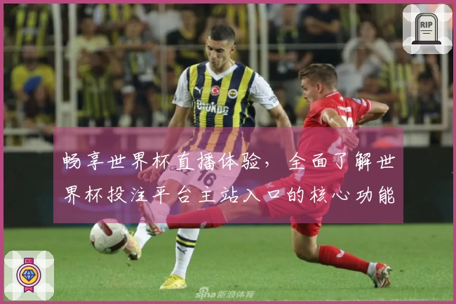 畅享世界杯直播体验，全面了解世界杯投注平台主站入口的核心功能与使用指南