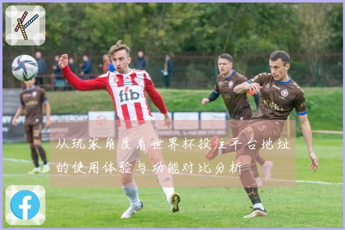 从玩家角度看世界杯投注平台地址的使用体验与功能对比分析
