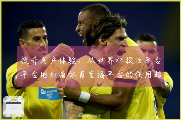 提升用户体验，从世界杯投注平台平台地址看体育直播平台的使用趋势分析