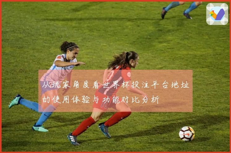 从玩家角度看世界杯投注平台地址的使用体验与功能对比分析