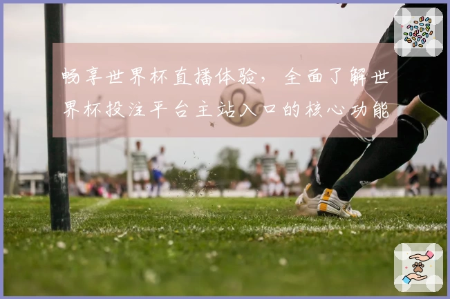 畅享世界杯直播体验，全面了解世界杯投注平台主站入口的核心功能与使用指南