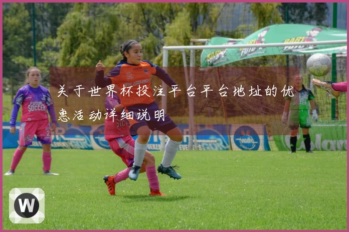 关于世界杯投注平台平台地址的优惠活动详细说明