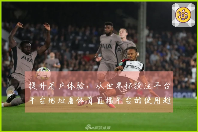 提升用户体验，从世界杯投注平台平台地址看体育直播平台的使用趋势分析